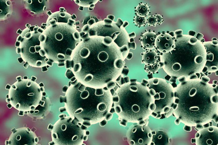 Cuáles son los síntomas y cómo prevenir el coronavirus