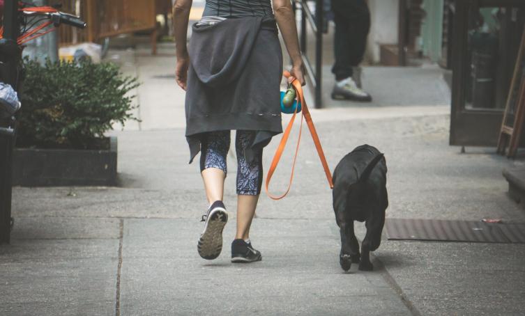 Cómo debés pasear a tu mascota durante la cuarentena 