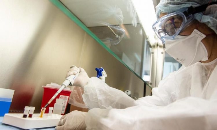 Científicos del Malbrán lograron secuenciar el genoma completo del coronavirus