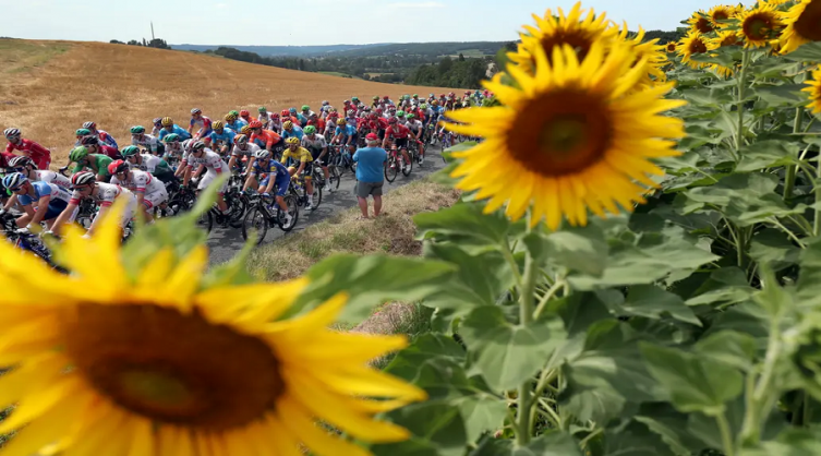 Tour de France: la nueva fecha de realización que salvó al ciclismo internacional de una crisis