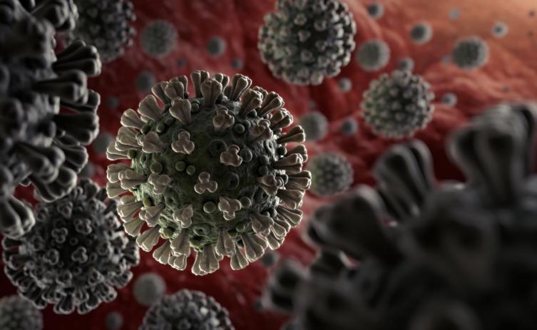 Ya son casi 4 millones los casos de coronavirus en el mundo