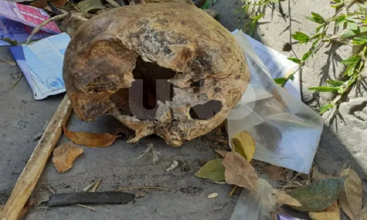 Descubrieron restos óseos en la vereda de una vivienda