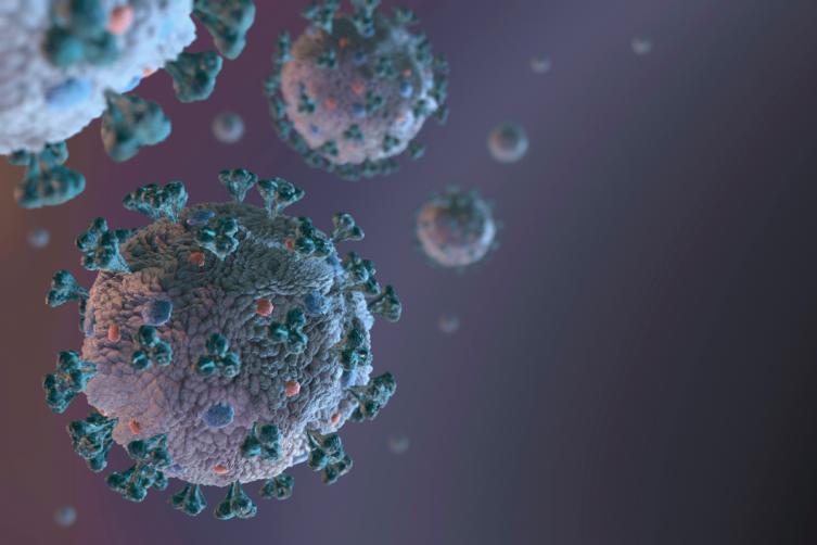 Sin nuevos casos de coronavirus en Santa Fe