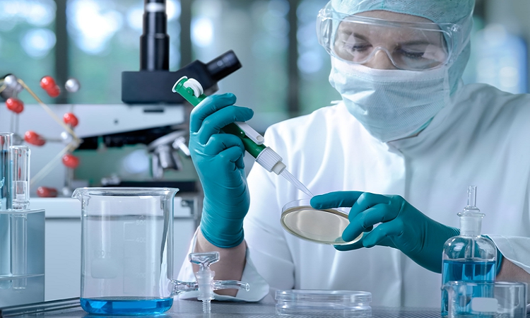 Primer avance en Latinoamérica: Argentina desarrollará una vacuna contra el coronavirus