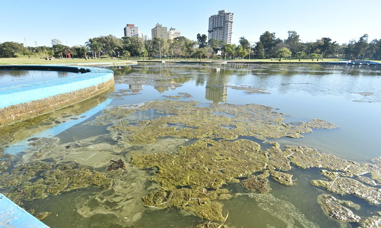 Los vecinos están preocupados por la gran cantidad de mosquitos