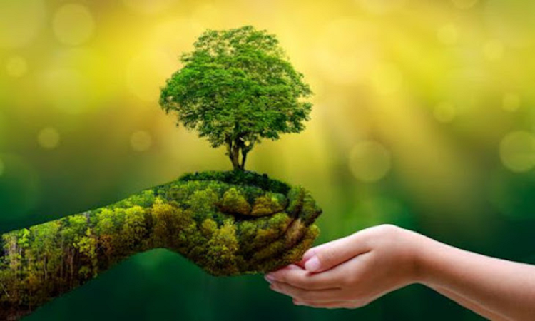 Día Mundial del Medio Ambiente 2020, por una recuperación verde y sostenible