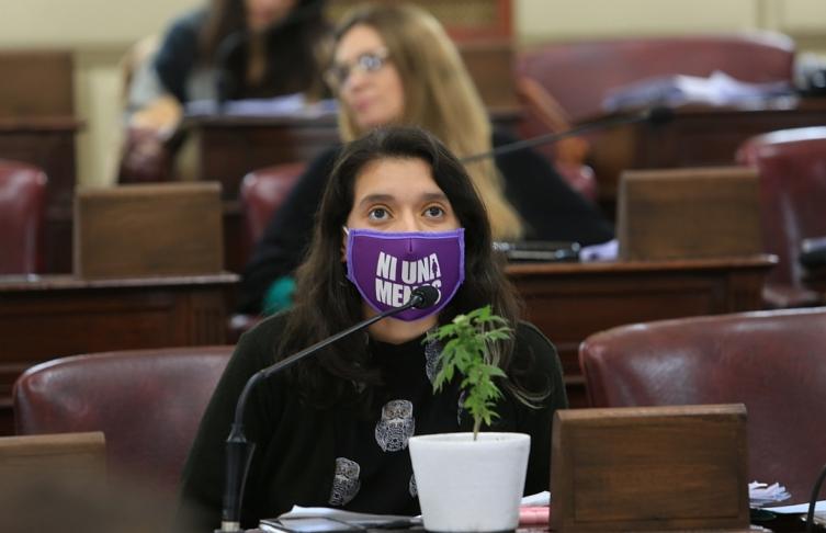 Planta de marihuana en el recinto: Para Donnet fue “sumamente positivo”
