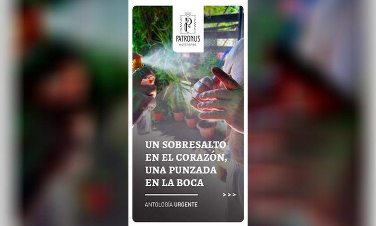 Grandes escritores argentinos publican una antología de cuentos: lo recaudado será para ayudar a las escuelas bonaerenses