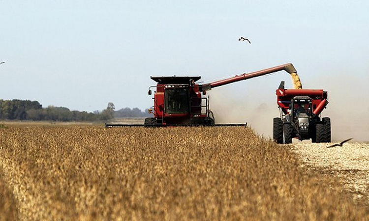 En medio de marchas, Vicentin y atentados a silobolsas, el campo reclama reglas claras para la post-pandemia