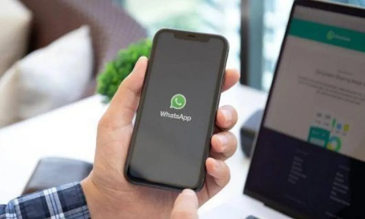 ¿Cómo saber a qué hora entró y salió un contacto de WhatsApp?