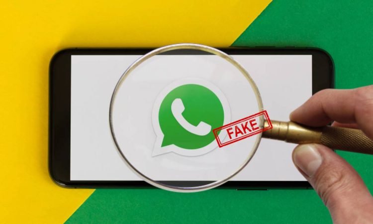 La nueva función de Whatsapp para combatir la desinformación