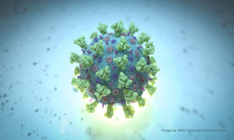 Virólogos divididos sobre planes para cambiar las reglas de denominación de virus durante la pandemia
