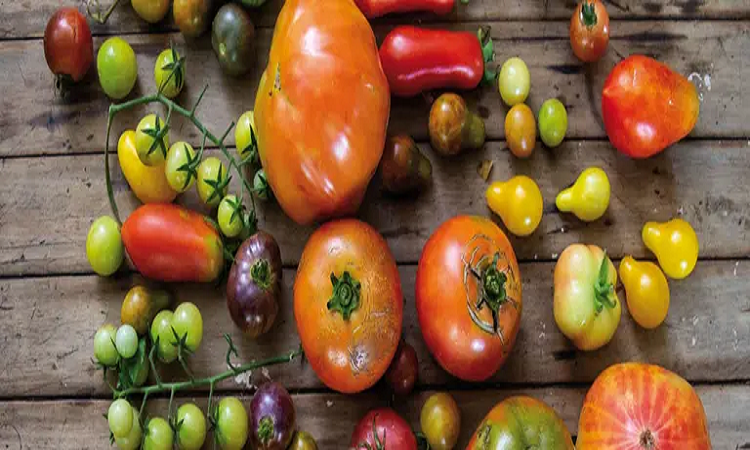 Cinco métodos para aprovechar al máximo las vitaminas de los vegetales que consumís
