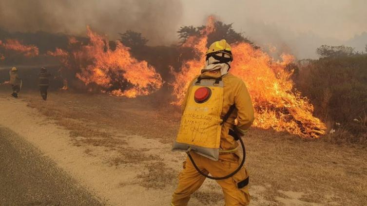 “La imagen de todas las sierras iluminadas, es una tragedia tremenda”