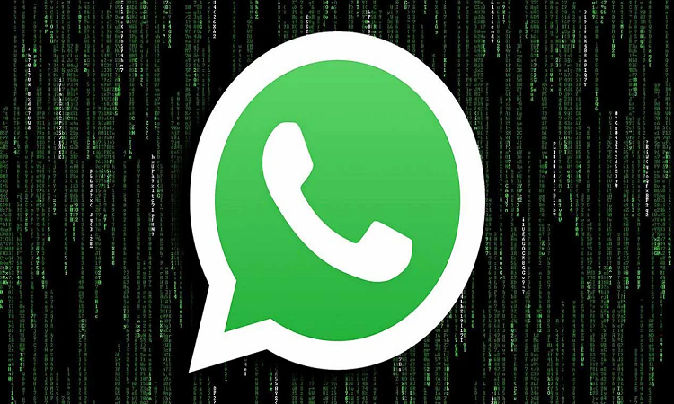 ¿Cómo hacer encuestas en WhatsApp y compartirlas con tus contactos?