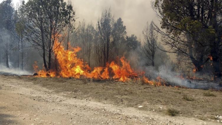 El fuego no da tregua en 5 provincias argentinas