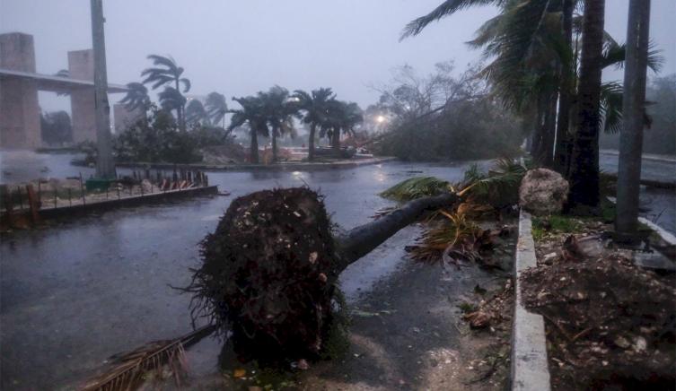 Huracán Delta: miles de personas abandonaron sus casas en Luisiana, Estados Unidos