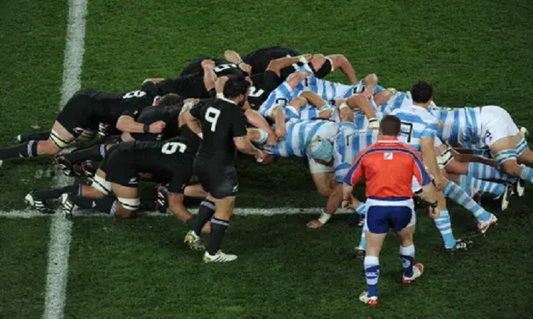 Alerta para los Pumas: ¿qué pasa si Sudáfrica se baja del Rugby Championship?