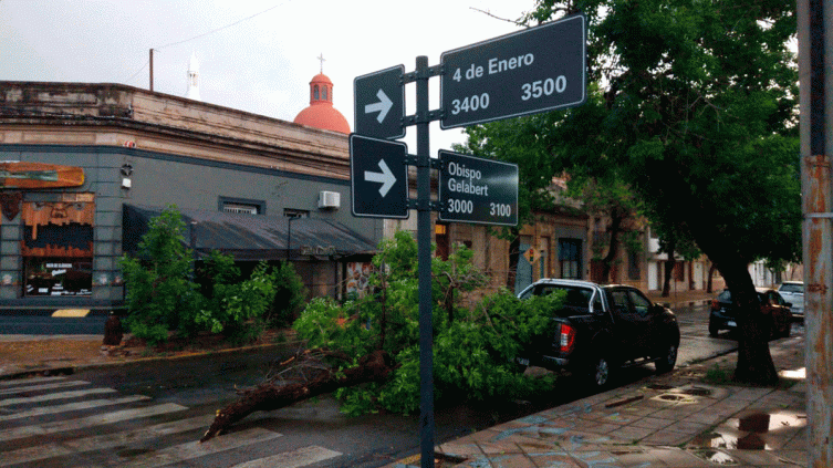 La tormenta hizo destrozos en la ciudad