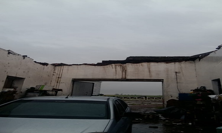 Temporal en María Susana, provincia de Santa Fe