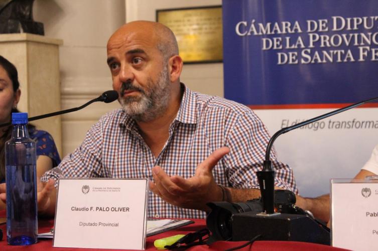Media sanción al proyecto de ley de reconomiento institucional al Informe Nogueras