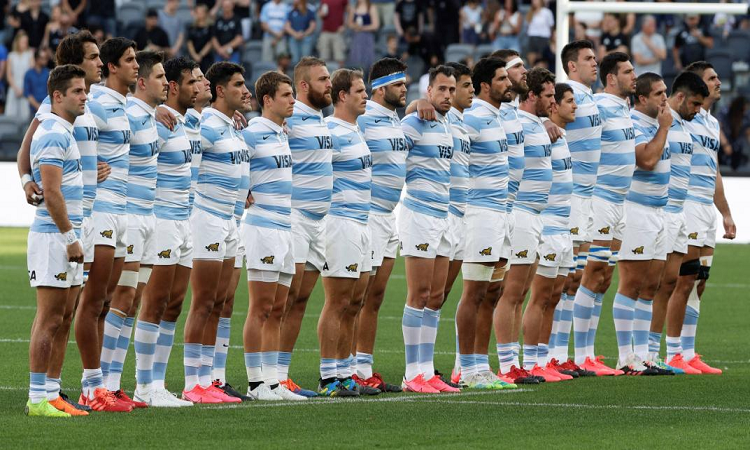 Pertenencia Puma