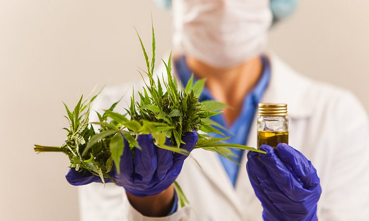 La ONU ya no considera al cannabis como drogas peligrosa