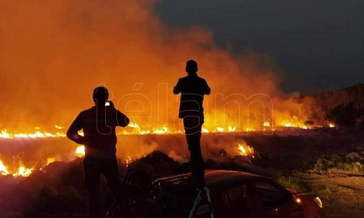 Es ilegal especular con tierras incendiadas