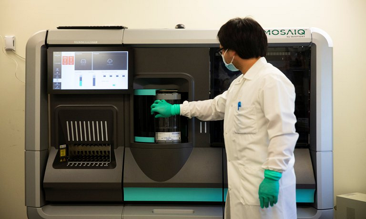 Hay anticuerpos que mejor neutralizan al coronavirus