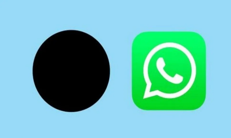 ¿Qué significa el emoji del círculo negro en WhatsApp?