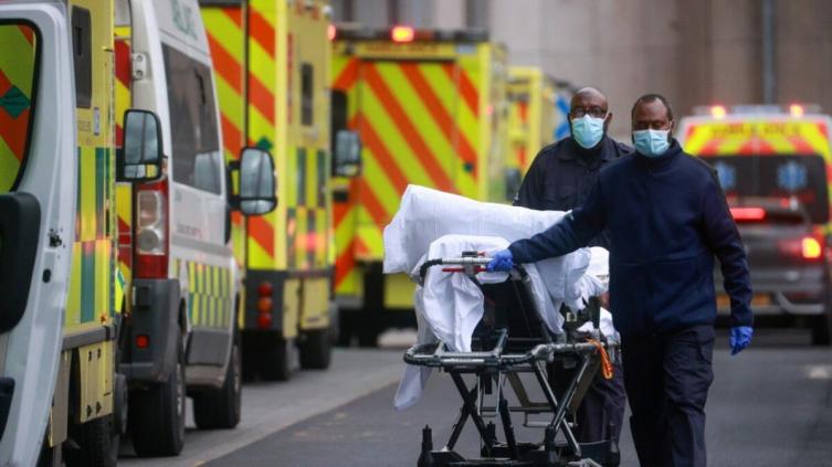 Hay 