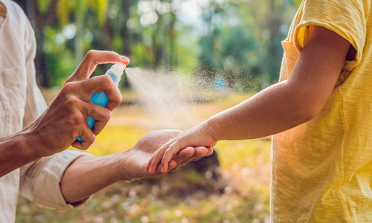 Mosquitos: pican a algunas personas más que a otras ¿por qué?