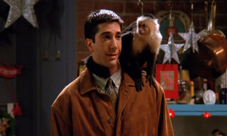David Schwimmer reveló cuando inicia la grabación de Friends