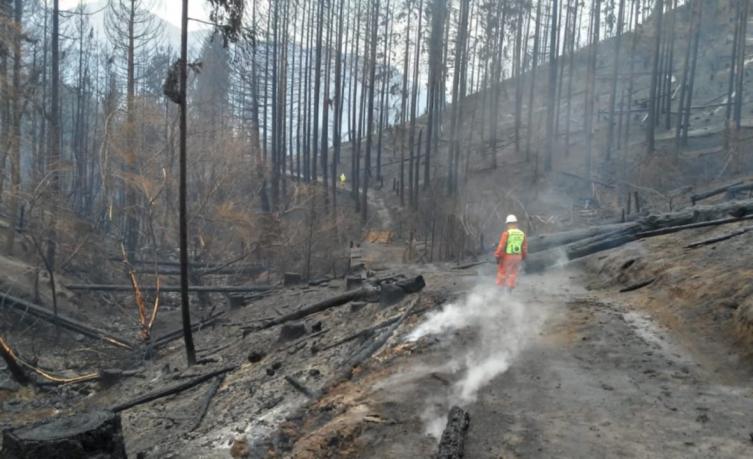 Preocupan los incendios en la Comarca Andina