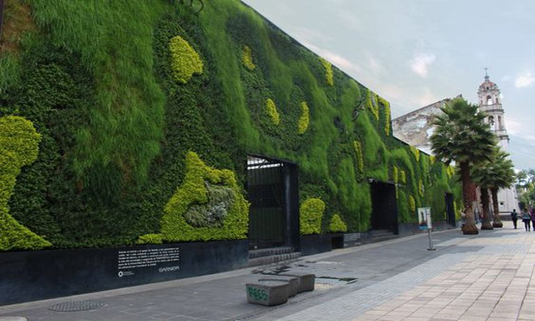 En América están algunos de los jardines verticales más grandes del mundo