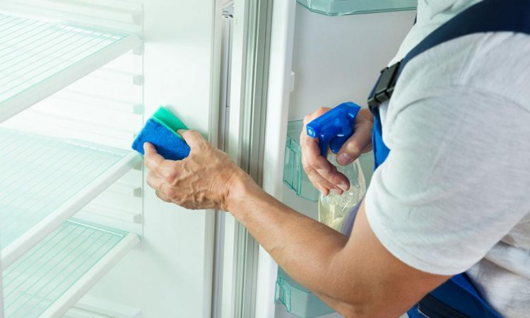 Cinco trucos para limpiar tu heladera