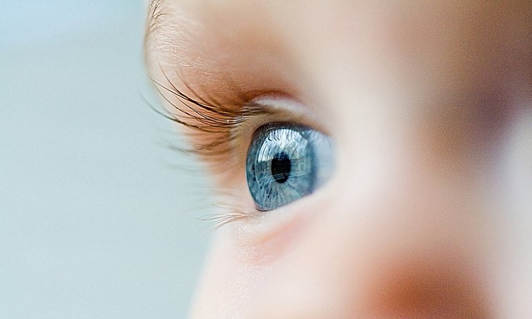 Las dificultades de la visión que más afectan a los niños