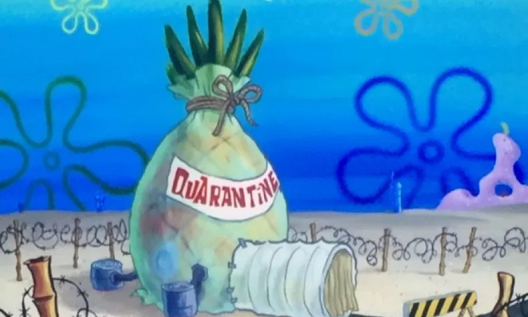 Bob Esponja: cancelan un episodio en la que los personajes hacen cuarentena