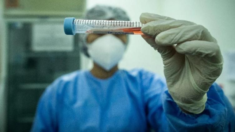 Detectaron una nueva cepa de coronavirus en Brasil