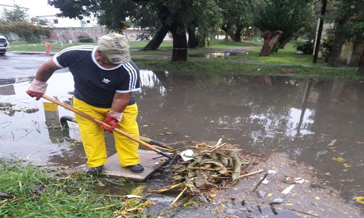 Informe de lluvias