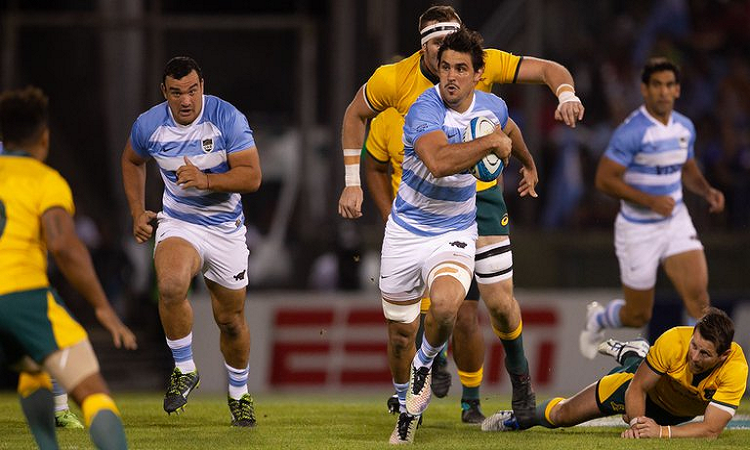 Rugby mundial: Pablo Matera entre los 10 jugadores más influyentes 