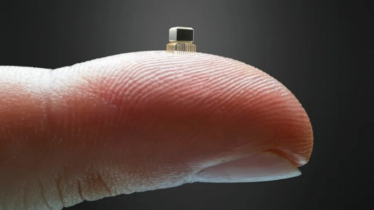 El chip más pequeño del mundo tiene el tamaño de un ácaro