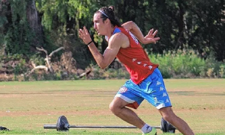 Pittón: 
