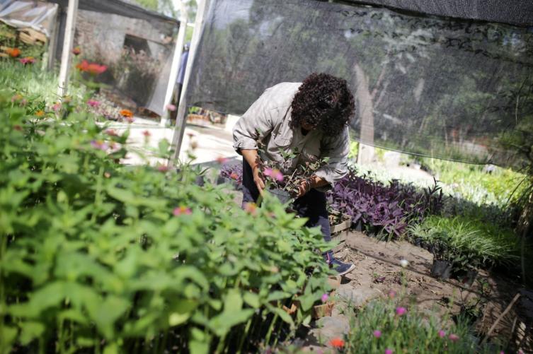 Mes del Ambiente: agenda de actividades y talleres en la ciudad
