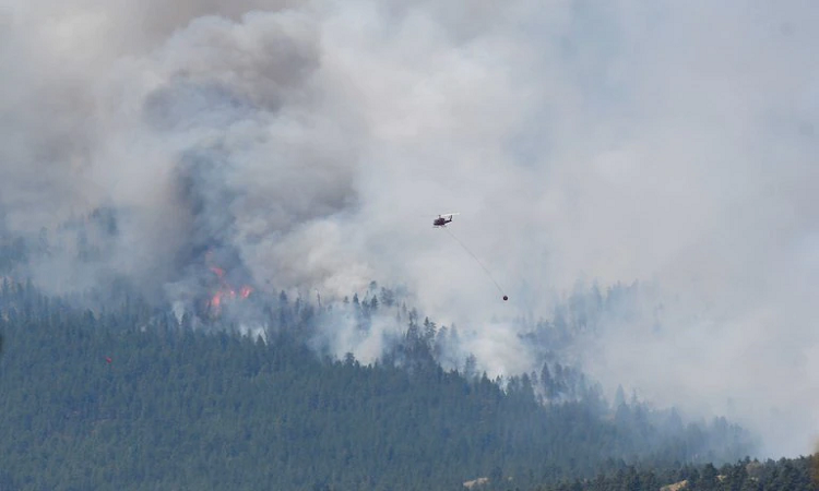 Canadá y EEUU: la ola de calor provocó incendios 