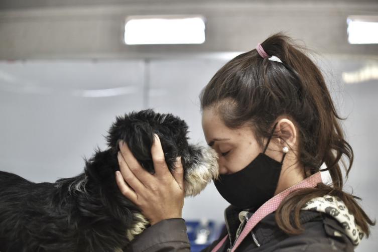 Dónde continúa la campaña municipal de castraciones