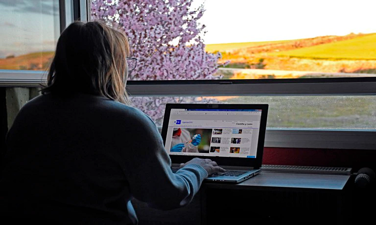 Internet: errores que se deben evitar cuando se navega