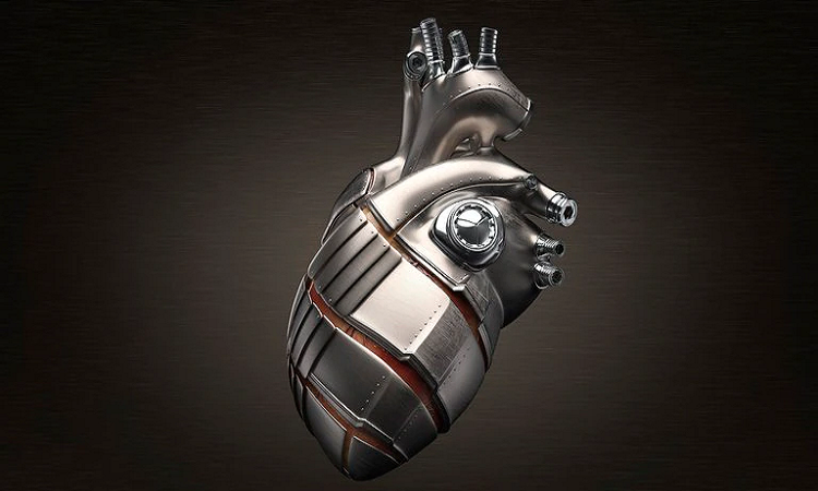Corazón longevo: factores que afectan la salud cardiovascular