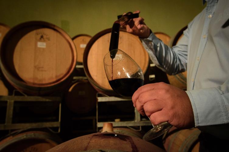 Día del Enólogo en la Argentina: quién es quién en el universo del vino