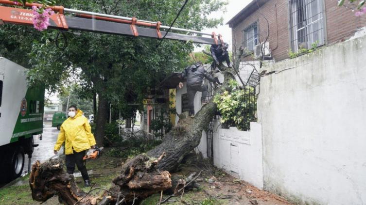 Por la tormenta hubo voladura de techos, caída de árboles y postes de luz